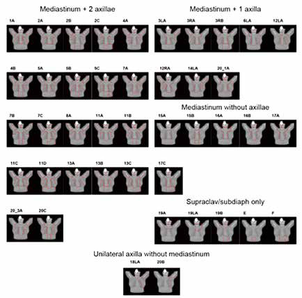 307-308期《全球肿瘤快讯》-72.jpg