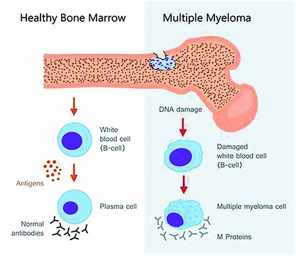 335-336期(完成)-72.jpg 335-336期(完成)-72.jpg
