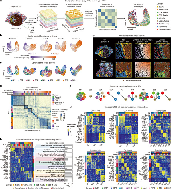 399-400期（完成）(1)-88.jpg
