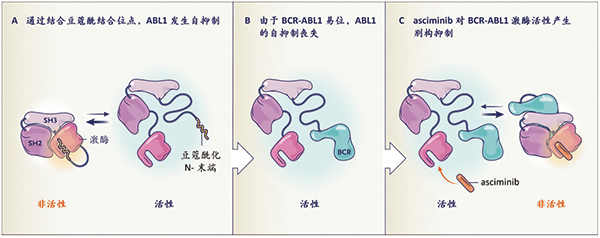 ASCEMBL持久随访显示 Asciminib或为优于Bosutinib的标准后线选择
