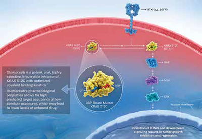 KRAS G12C突变的晚期NSCLC olomorasib联合帕博利珠单抗安全且有抗瘤活性